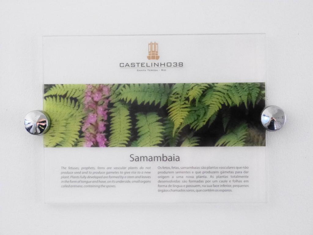 Boutique Hotel Castelinho 리오데자네이루 객실 사진